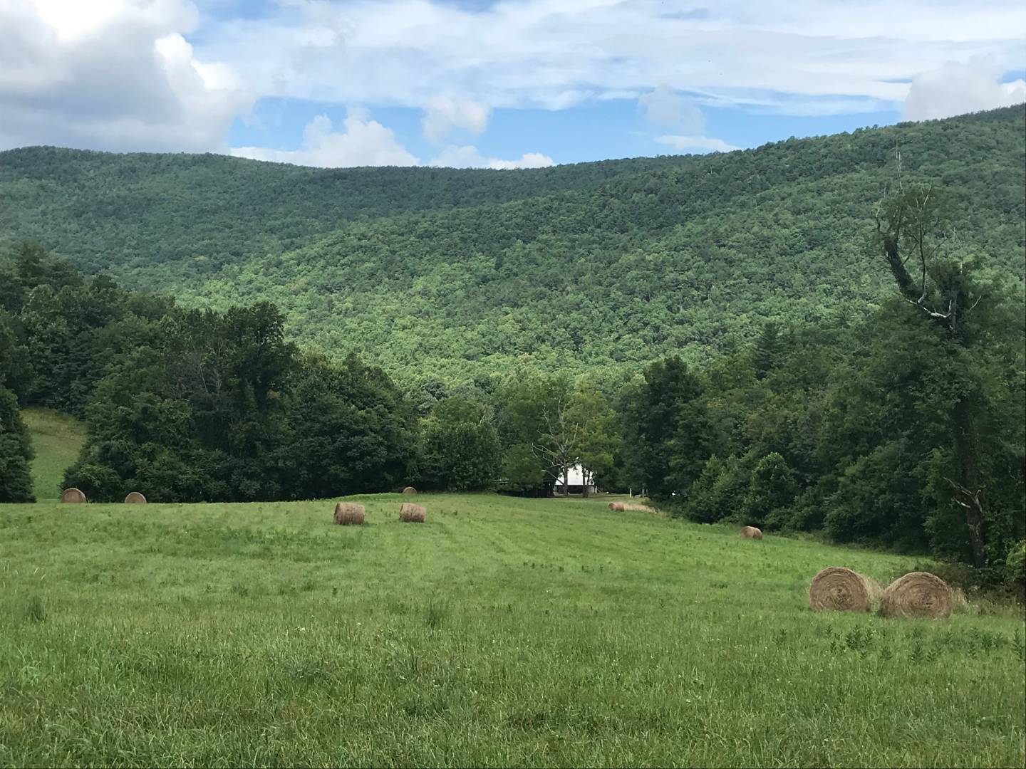 3604 Mt Torrey Rd, Lyndhurst, VA 22952 (Off Market NYStateMLS Listing