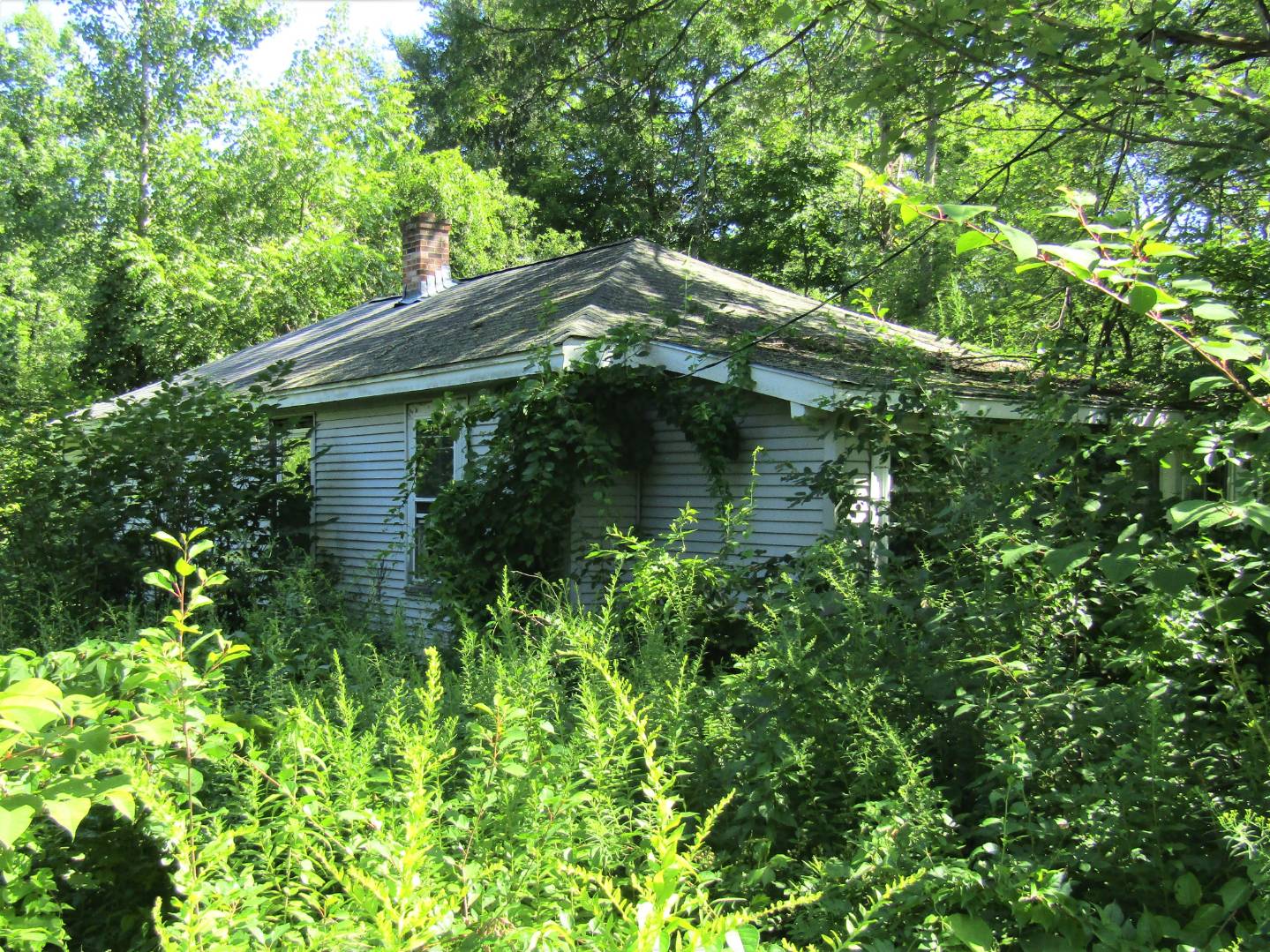 19 Wildwood Road, Millbury, MA 01527 (Off Market NYStateMLS Listing