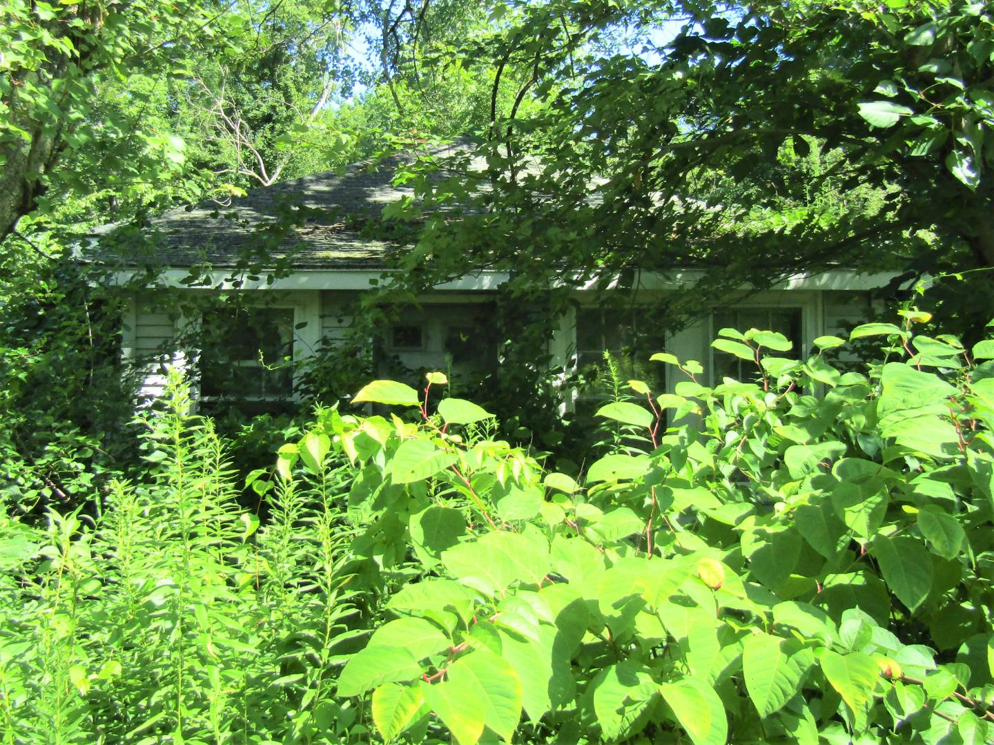 19 Wildwood Road, Millbury, MA 01527 (Off Market NYStateMLS Listing