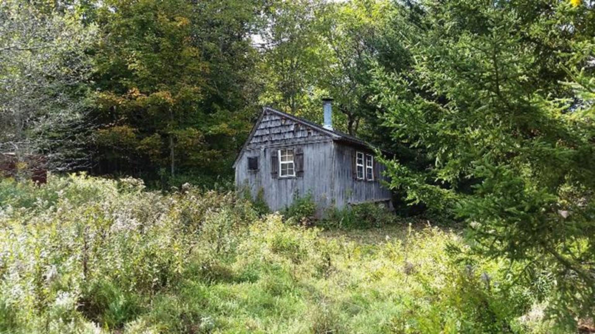 0 State Hwy 23, Davenport, NY 13750 (Off Market NYStateMLS Listing