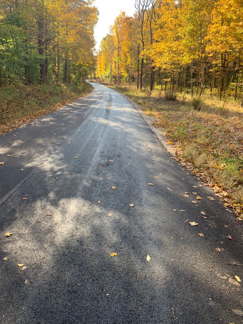 Atlanta Road, Tell City, IN 47586 (Sold MyStateMLS Listing #10650078)