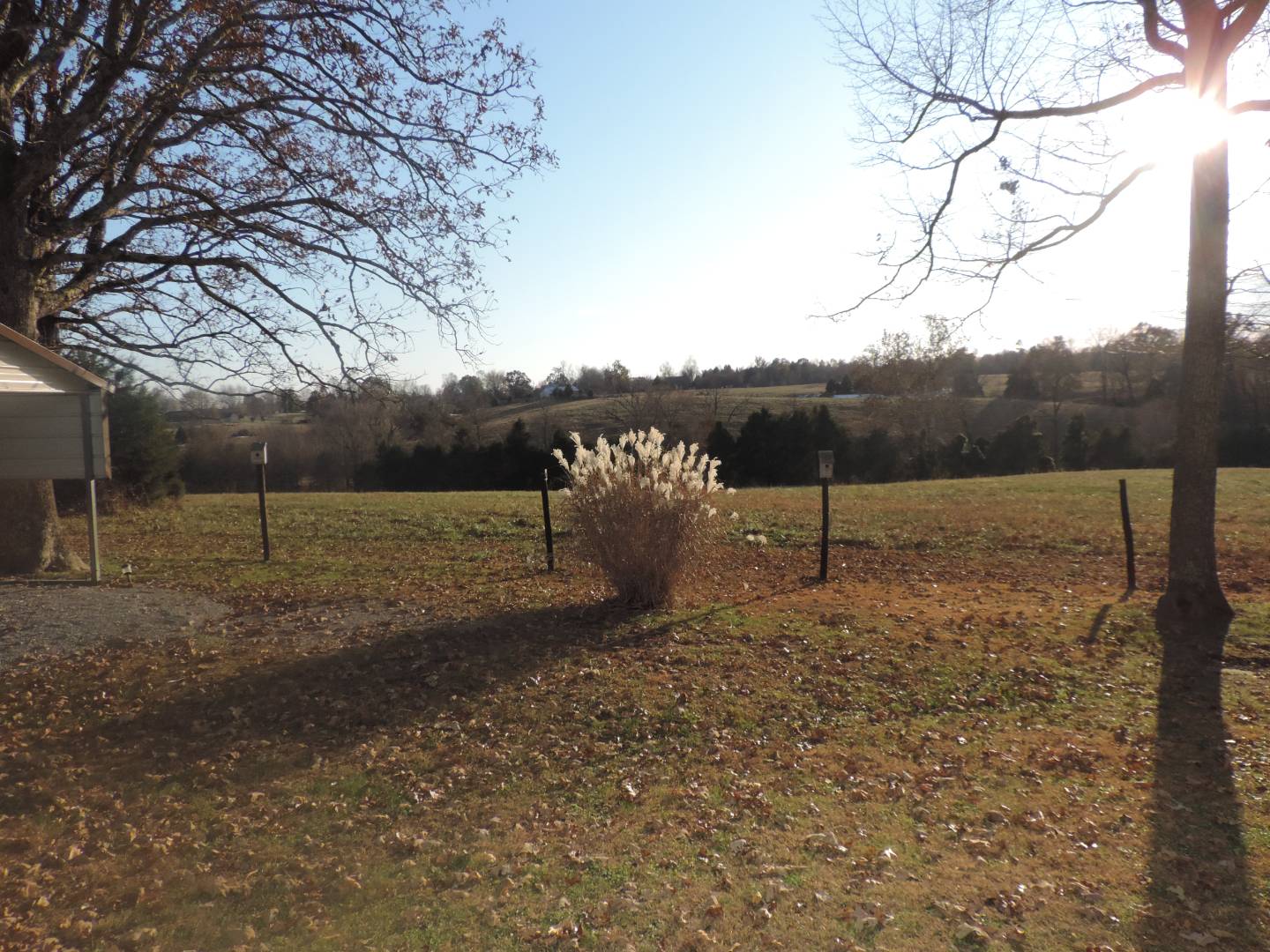 297 Old Liberty Road, Greenville, KY 42345 (Off Market MyStateMLS