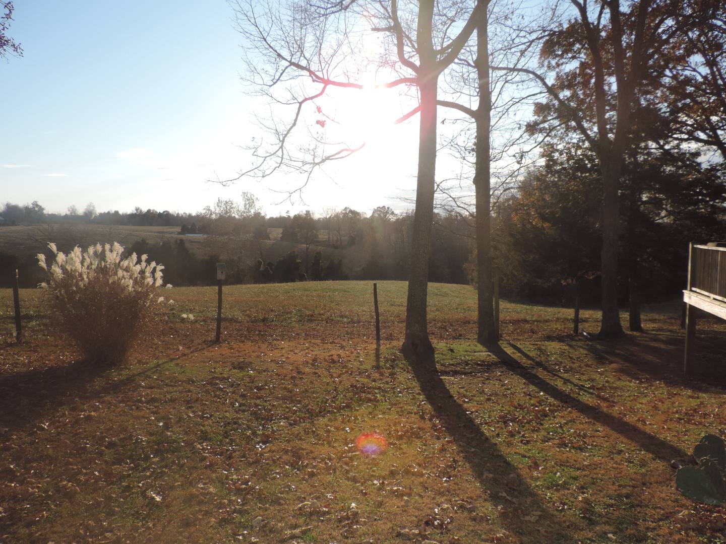 297 Old Liberty Road, Greenville, KY 42345 (Off Market MyStateMLS