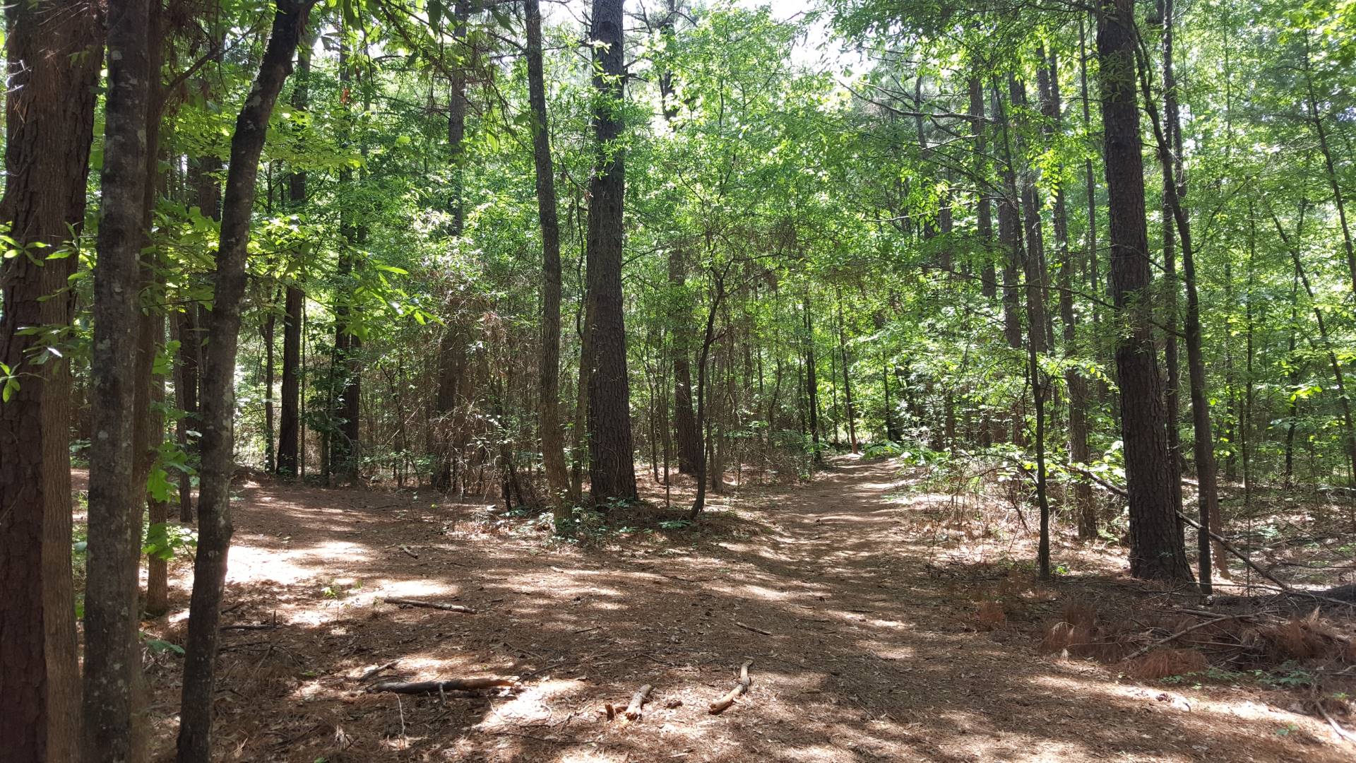 TBD FM 560, Hooks, TX 75561 (Off Market NYStateMLS Listing 10678372)