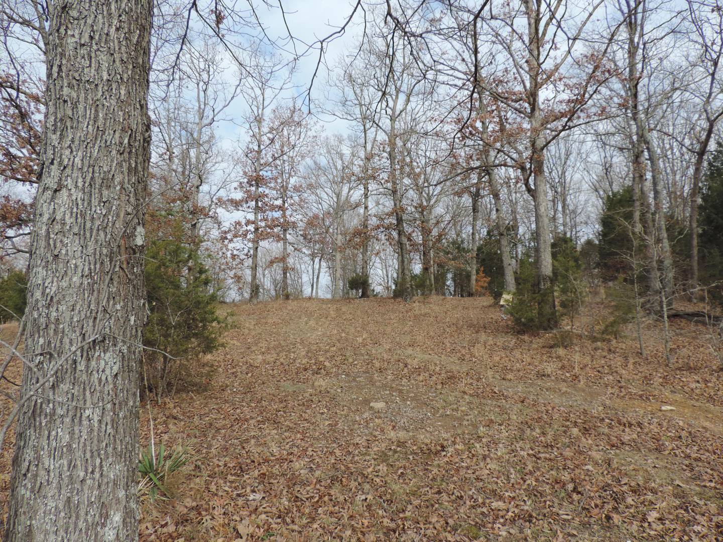 150 Pendley Mill Road, Dunmor, KY 42339 (Off Market MyStateMLS Listing ...