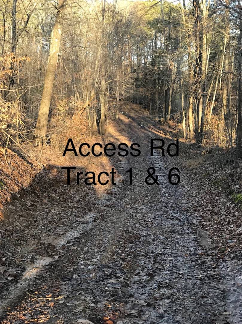 0 CR1407, Breeding, KY 42715 (Off Market MyStateMLS Listing 10696251)