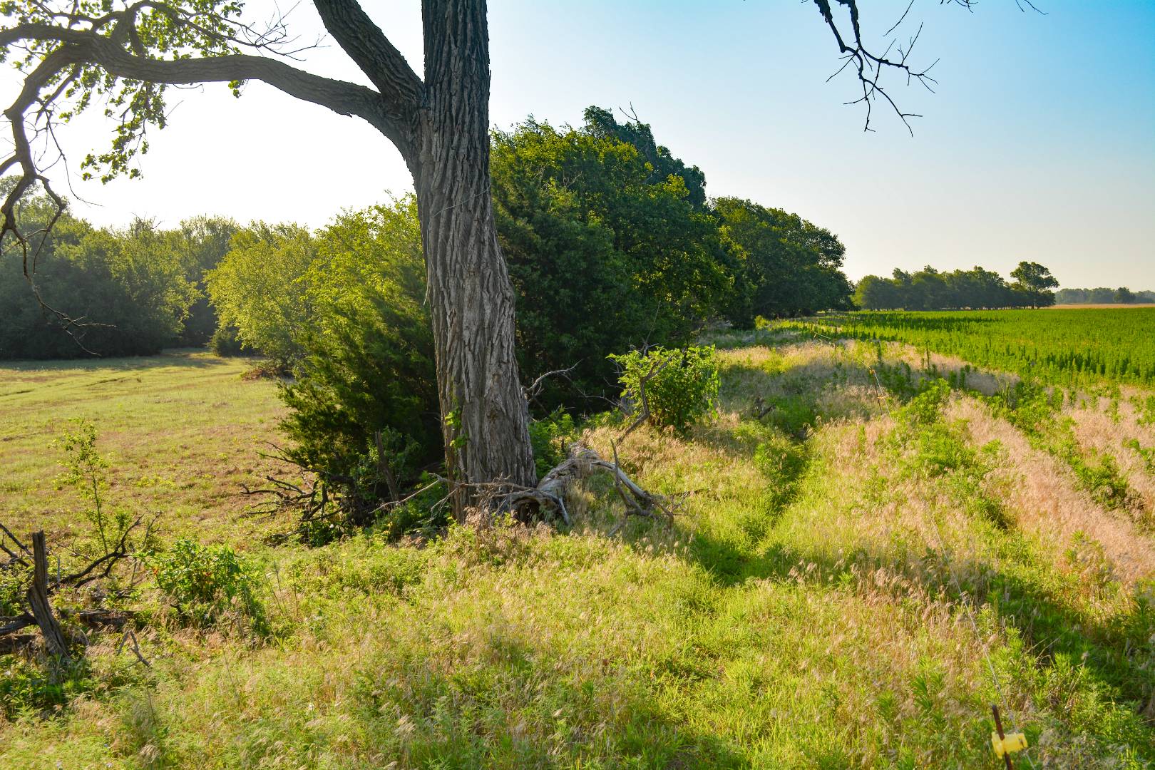 00000 N Nickerson Rd, Nickerson, KS 67561 (Sold NYStateMLS Listing