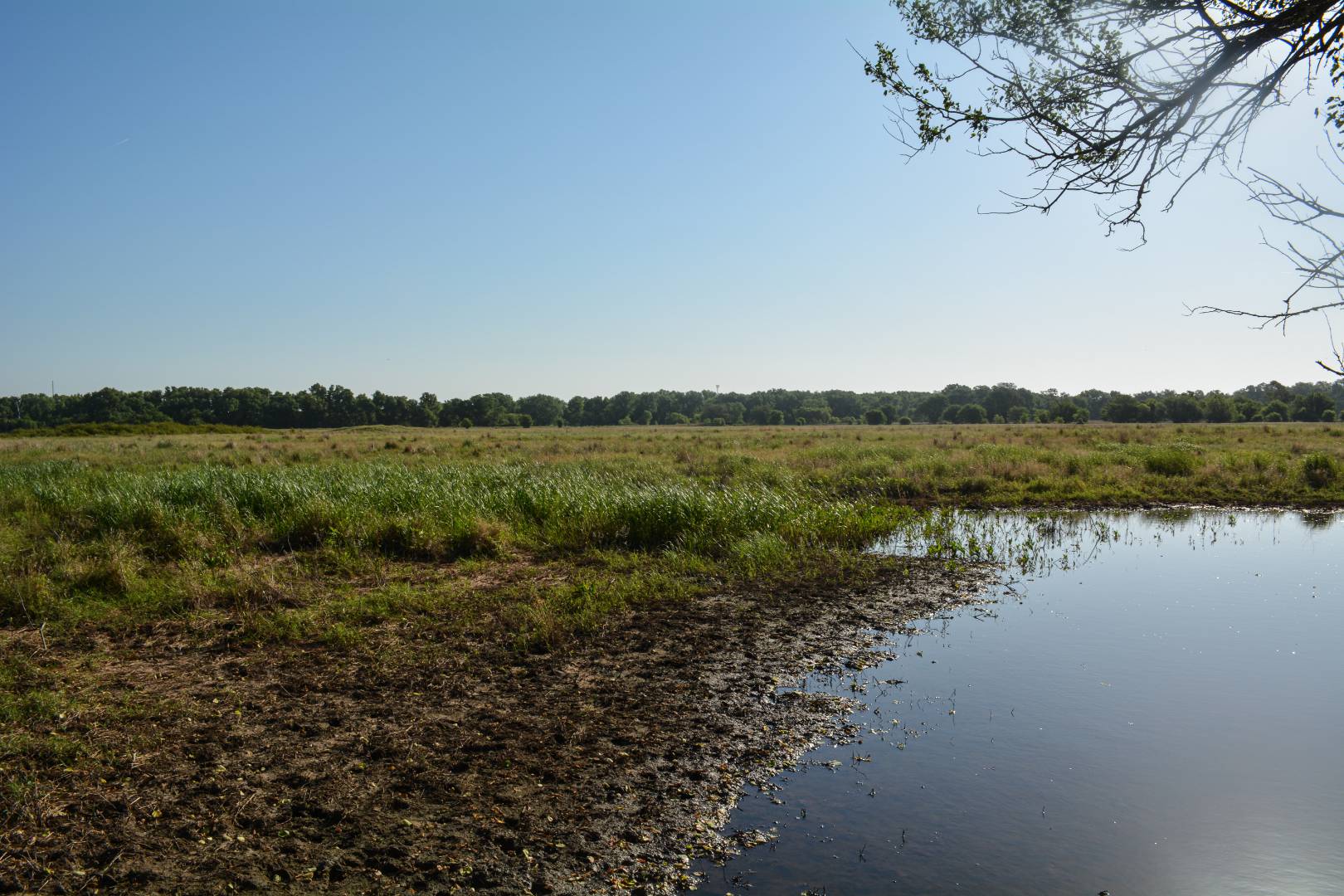 00000 N Nickerson Rd, Nickerson, KS 67561 (Sold NYStateMLS Listing