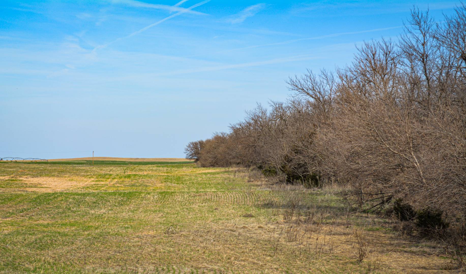 0000 CO RD, Haviland, KS 67059 (Off Market NYStateMLS Listing 10697563)