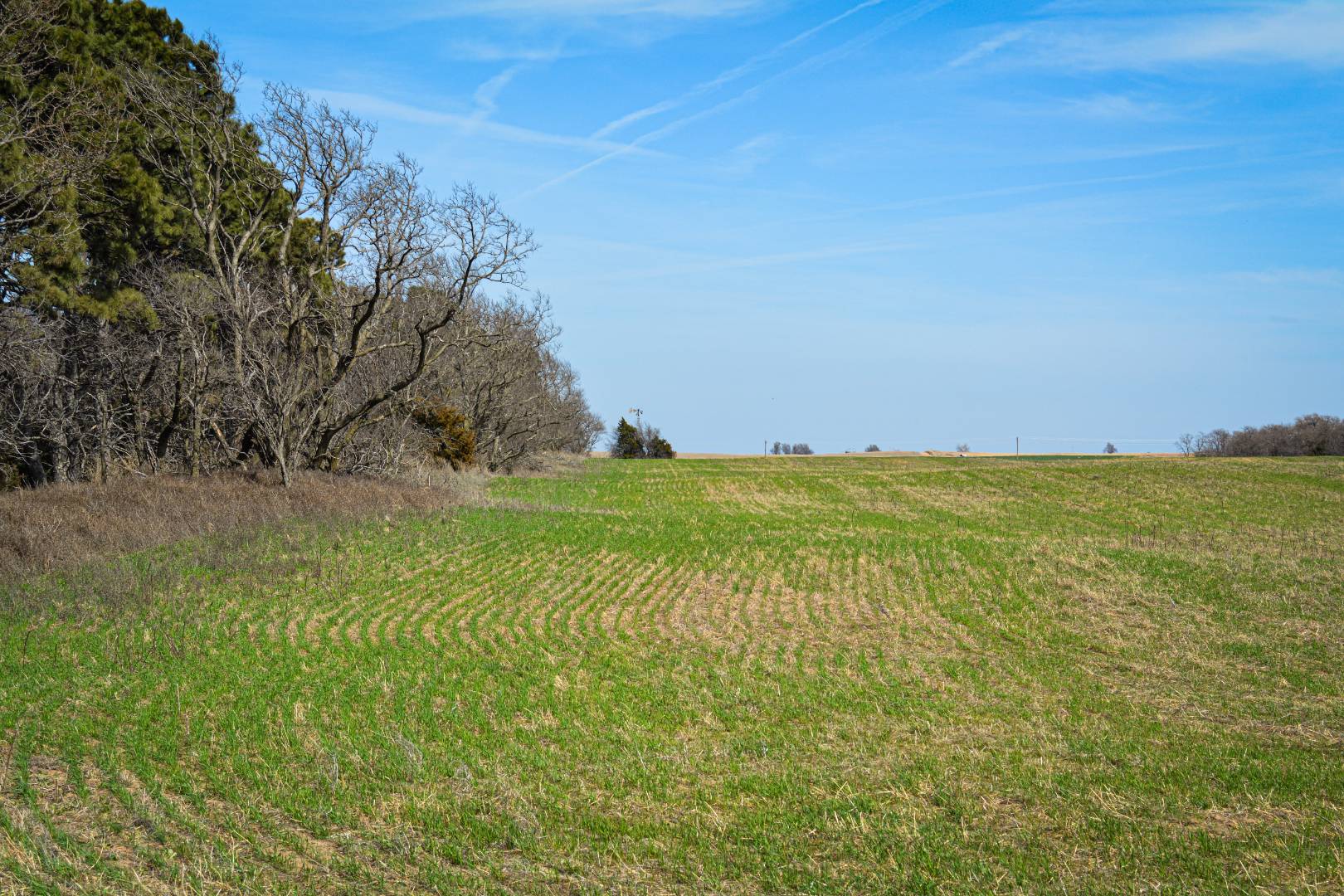 0000 CO RD, Haviland, KS 67059 (Off Market NYStateMLS Listing 10697563)