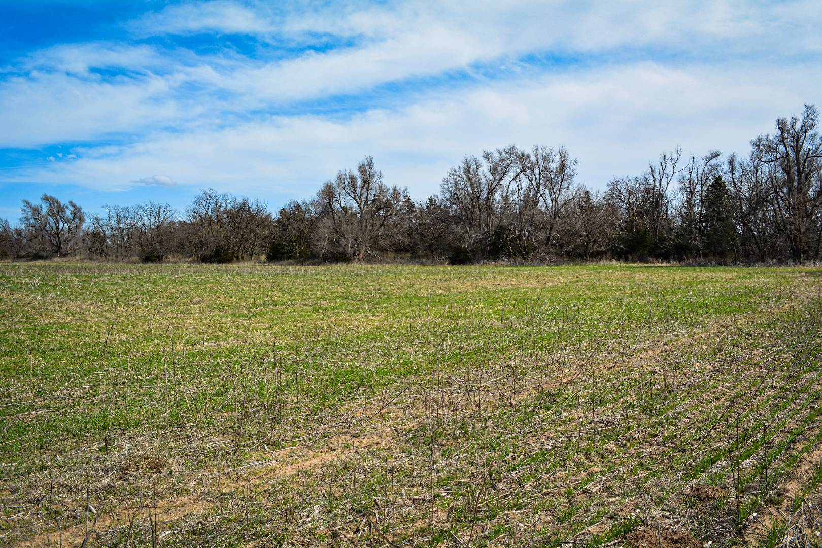 0000 CO RD, Haviland, KS 67059 (Off Market NYStateMLS Listing 10697563)
