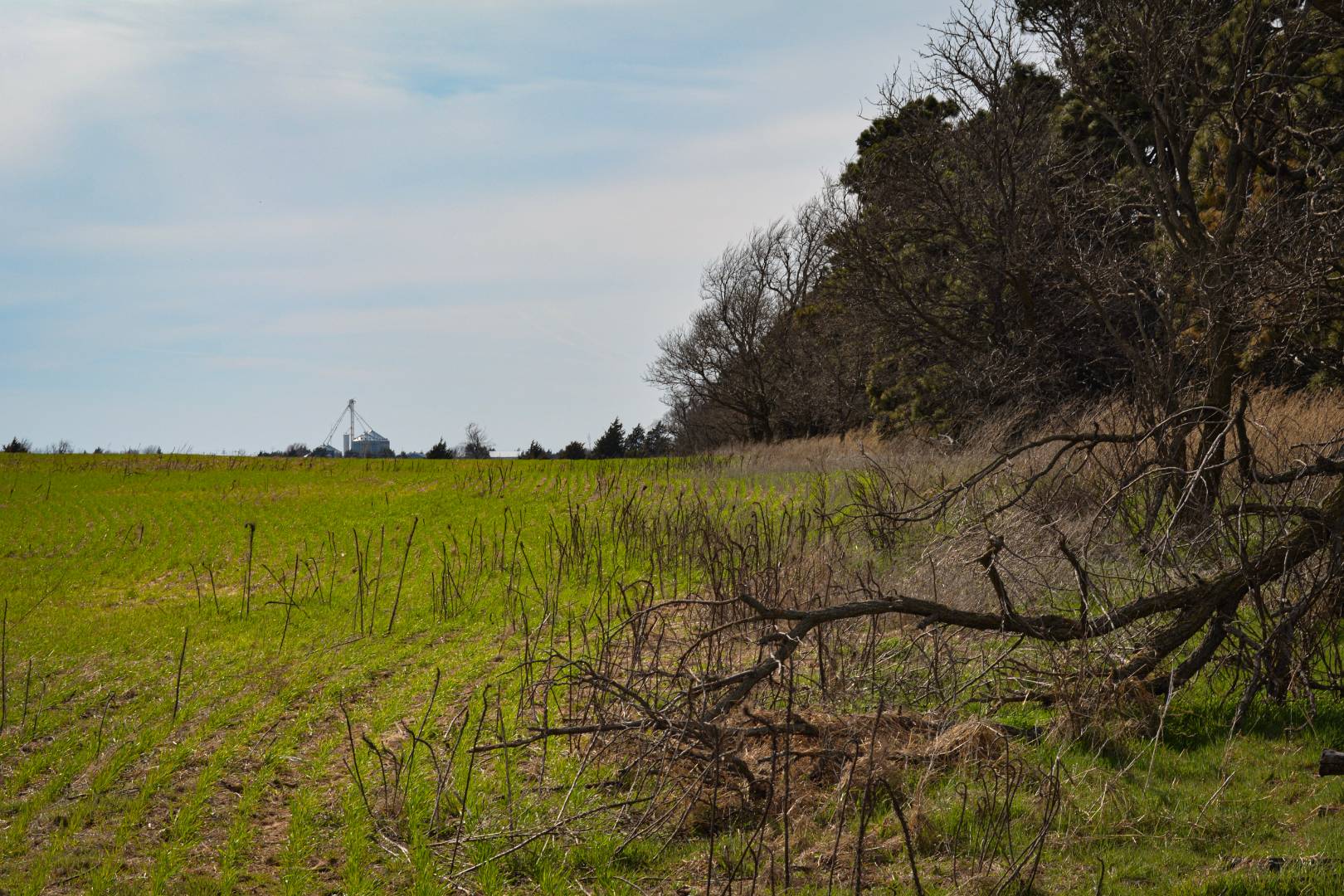 0000 CO RD, Haviland, KS 67059 (Off Market NYStateMLS Listing 10697563)