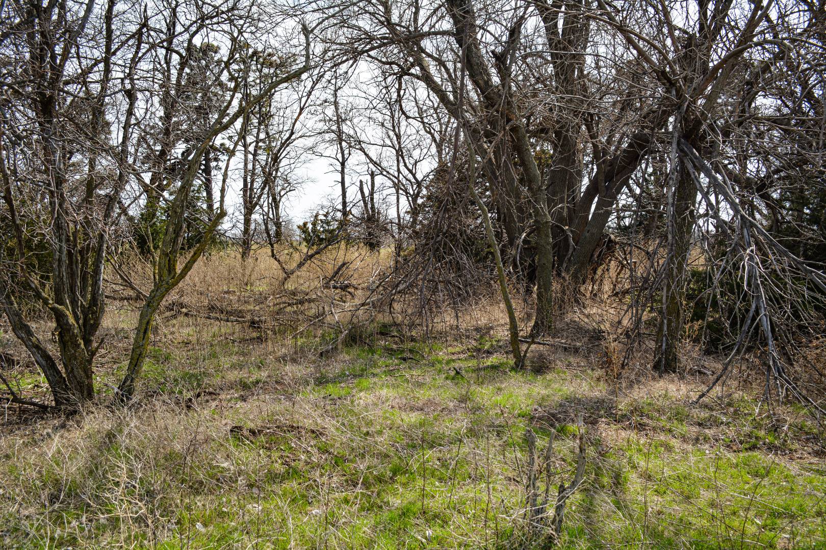 0000 CO RD, Haviland, KS 67059 (Off Market NYStateMLS Listing 10697563)