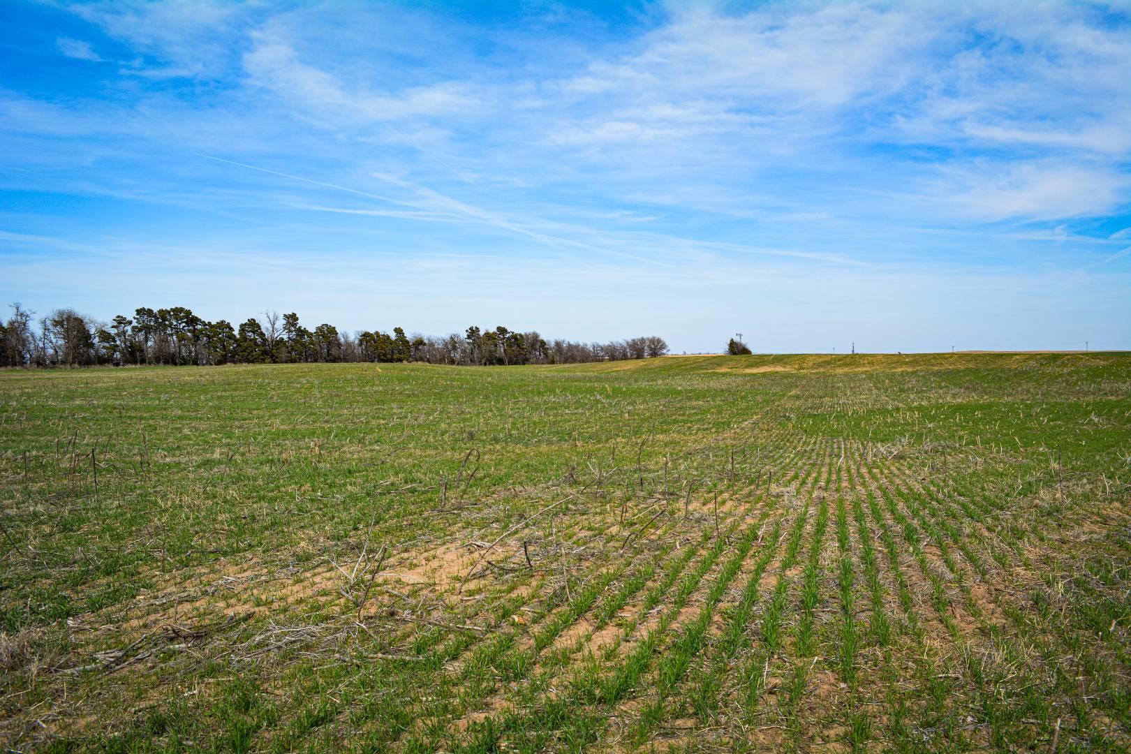 0000 CO RD, Haviland, KS 67059 (Off Market NYStateMLS Listing 10697563)