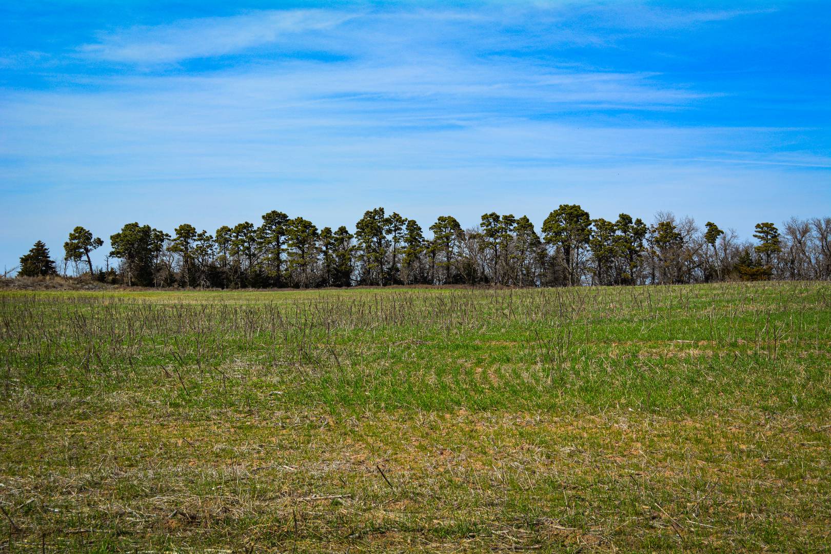 0000 CO RD, Haviland, KS 67059 (Off Market NYStateMLS Listing 10697563)