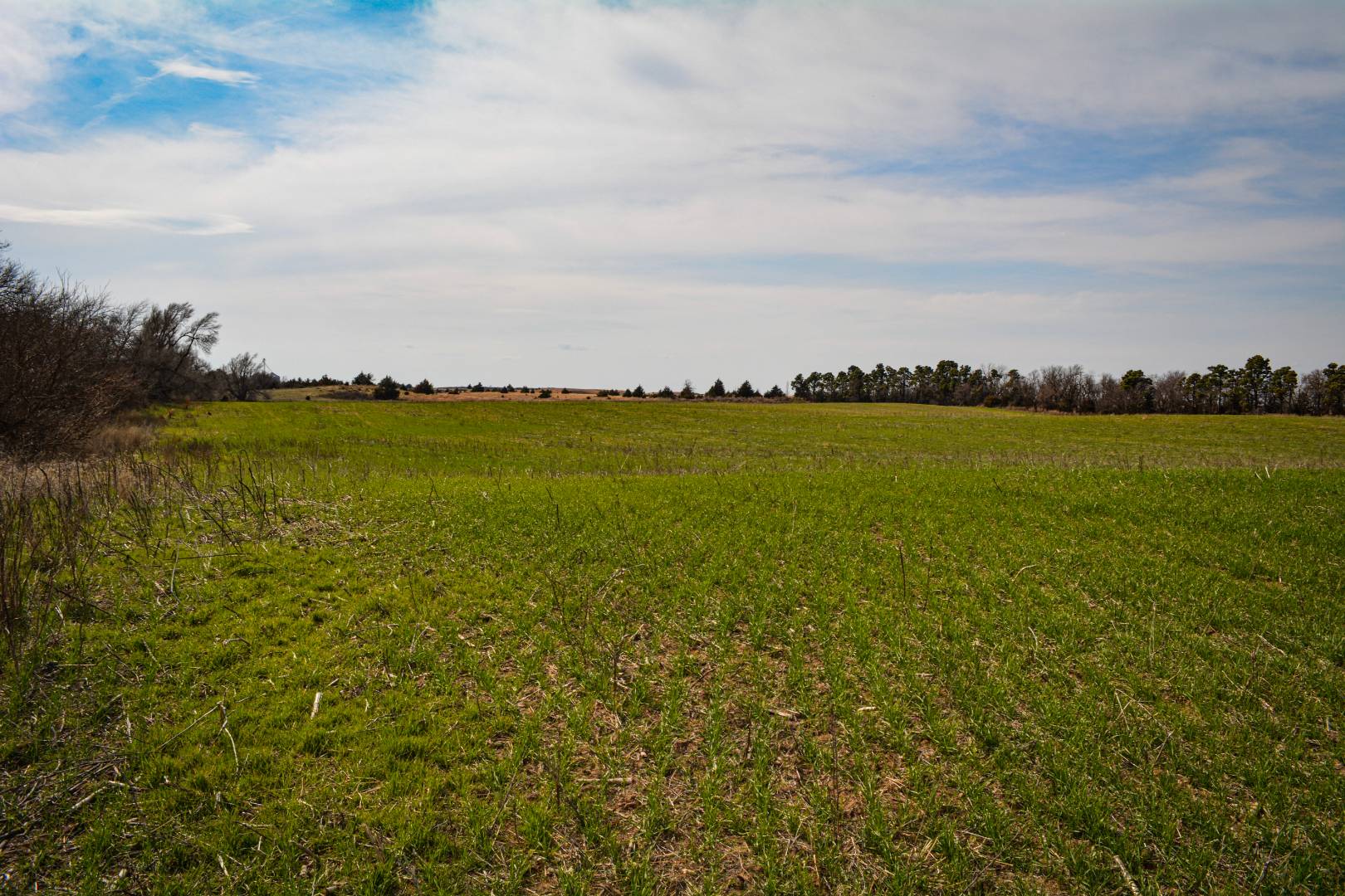 0000 CO RD, Haviland, KS 67059 (Off Market NYStateMLS Listing 10697563)