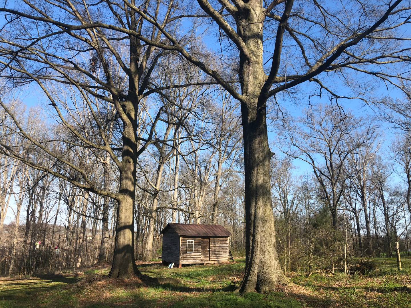 8151 Love Mill Rd, Stanfield, NC 28163 (Sold NYStateMLS Listing 10703309)