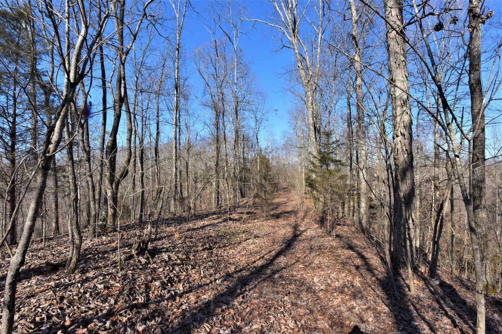 750 Scott Ridge Road, Edmonton, KY 42129 (Off Market NYStateMLS Listing