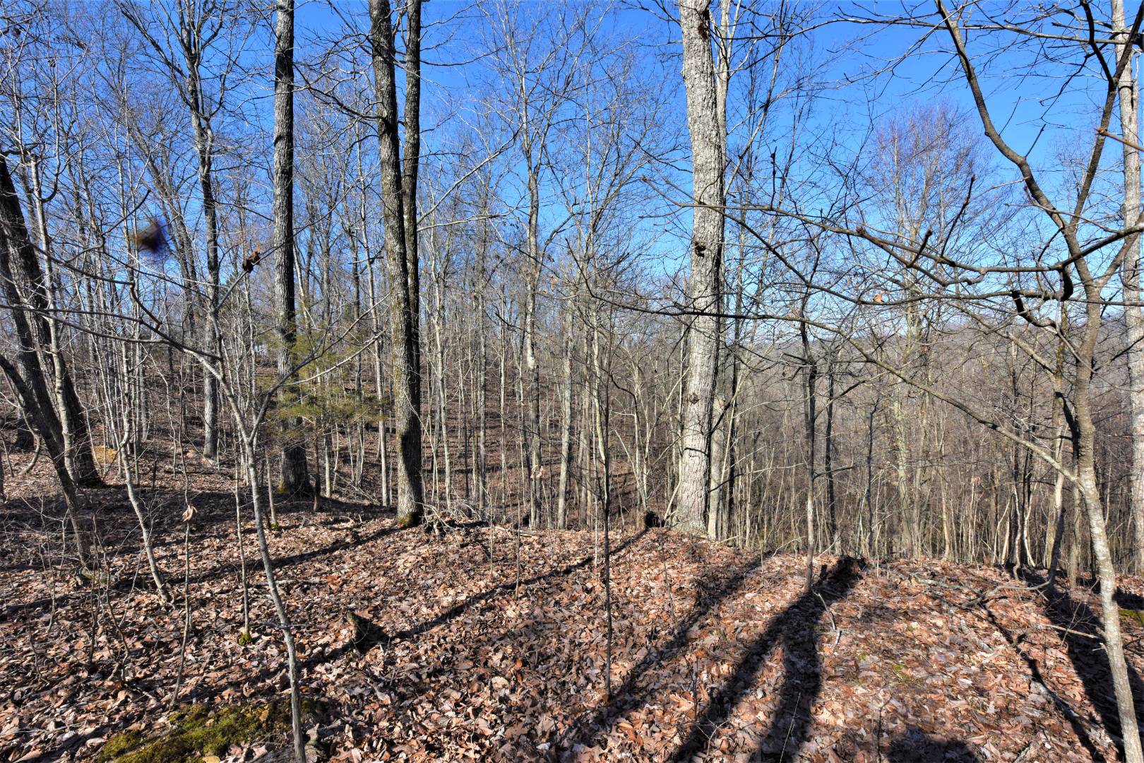 750 Scott Ridge Road, Edmonton, KY 42129 (Off Market NYStateMLS Listing