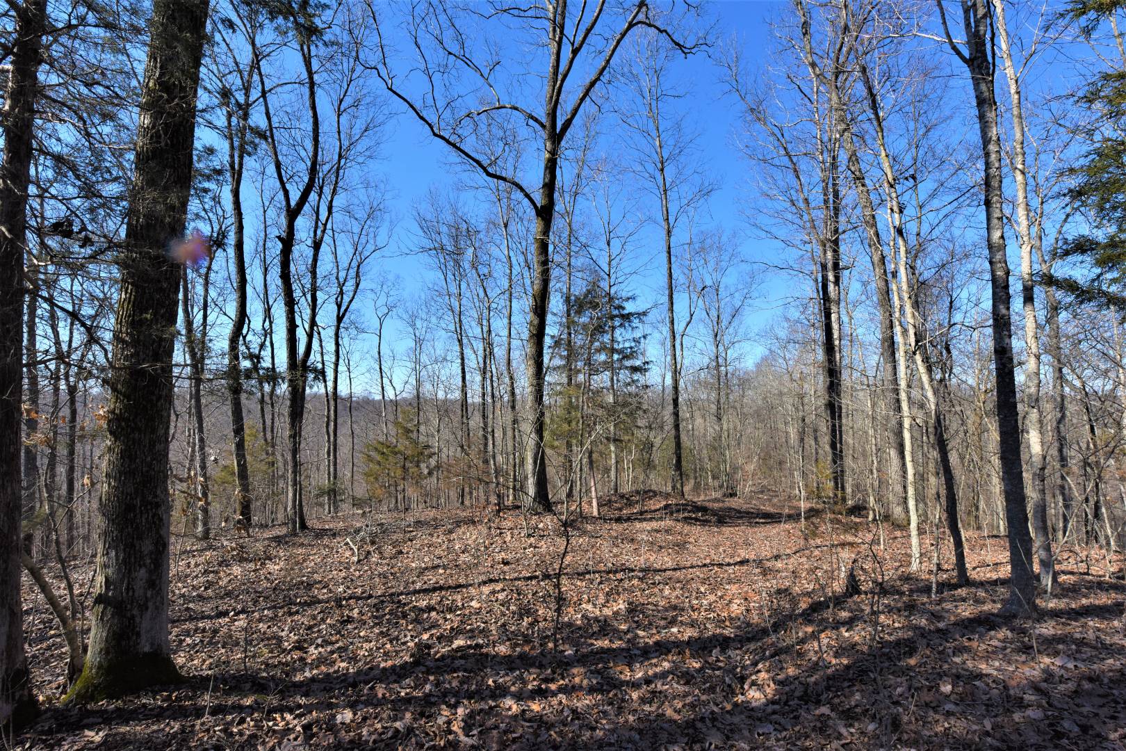 750 Scott Ridge Road, Edmonton, KY 42129 (Off Market NYStateMLS Listing