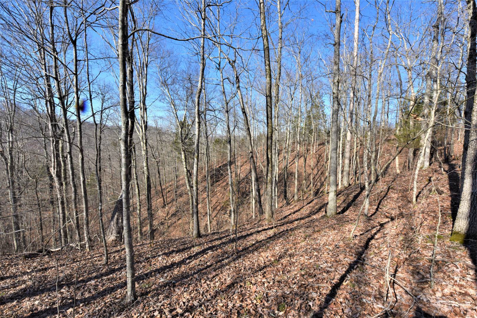 750 Scott Ridge Road, Edmonton, KY 42129 (Off Market MyStateMLS Listing