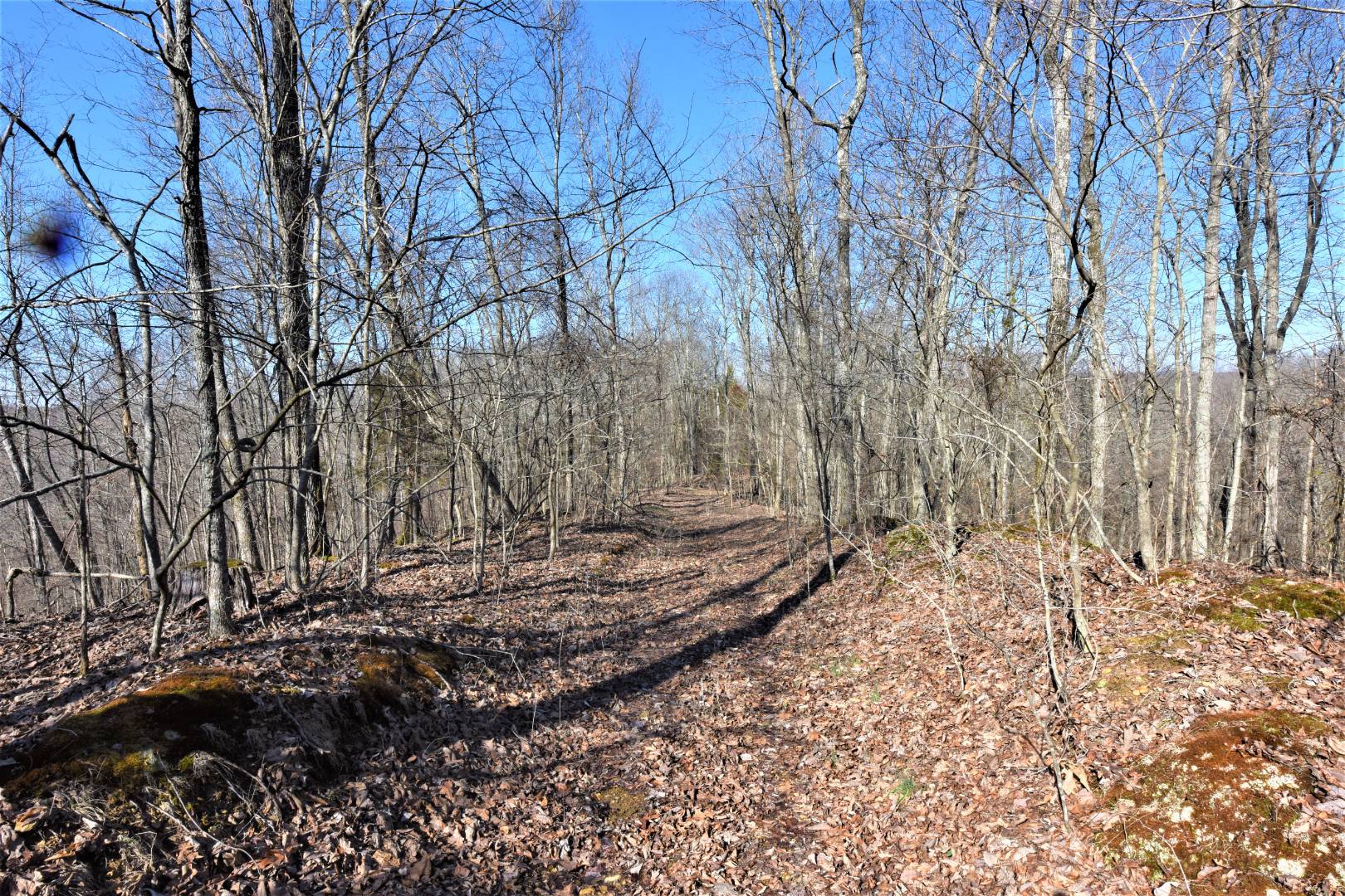 750 Scott Ridge Road, Edmonton, KY 42129 (Off Market MyStateMLS Listing