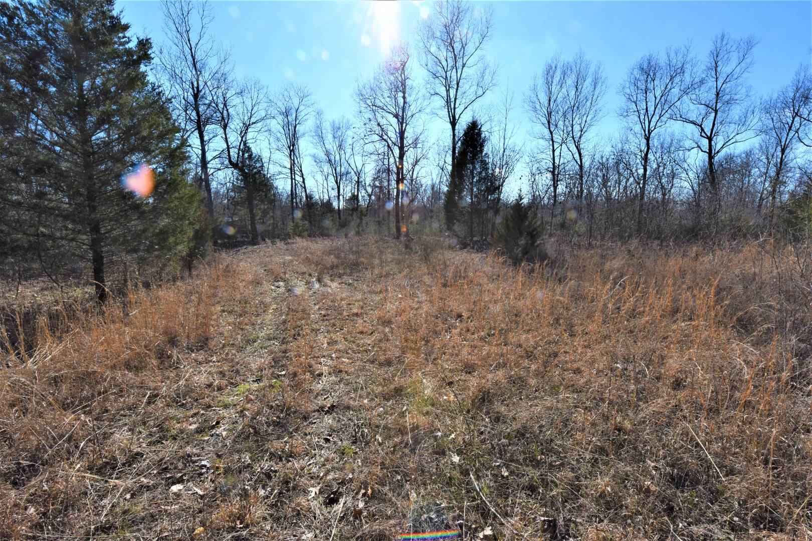 750 Scott Ridge Road, Edmonton, KY 42129 (Off Market MyStateMLS Listing