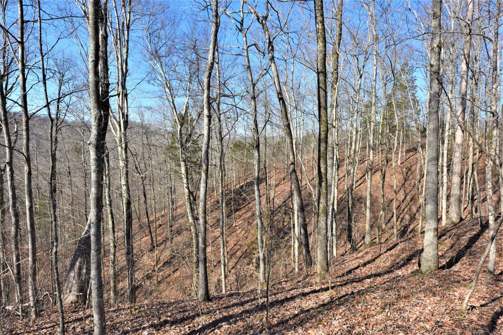 750 Scott Ridge Road, Edmonton, KY 42129 (Off Market NYStateMLS Listing