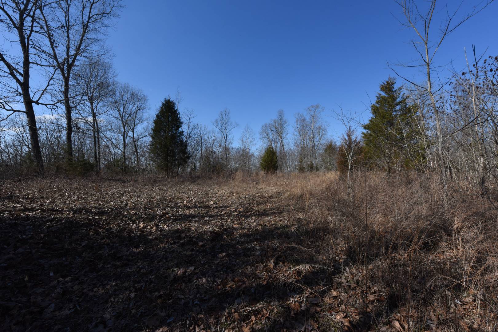 750 Scott Ridge Road, Edmonton, KY 42129 (Off Market MyStateMLS Listing