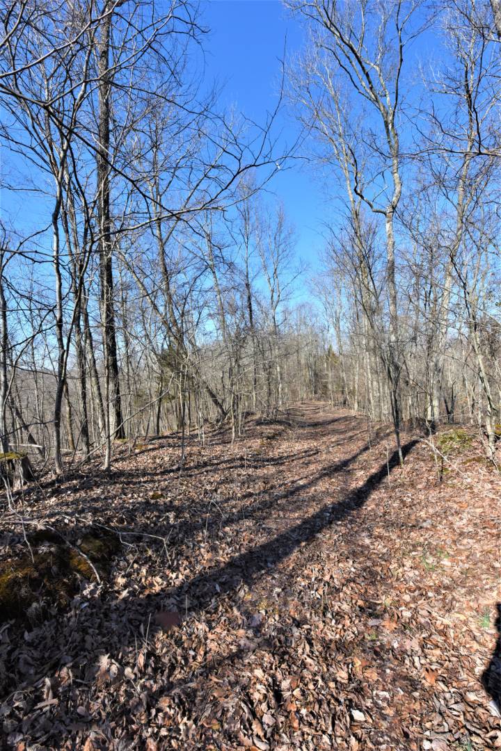 750 Scott Ridge Road, Edmonton, KY 42129 (Off Market MyStateMLS Listing