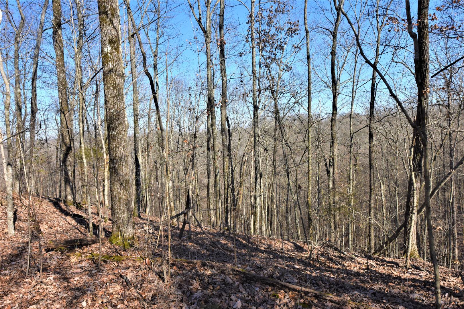 750 Scott Ridge Road, Edmonton, KY 42129 (Off Market NYStateMLS Listing