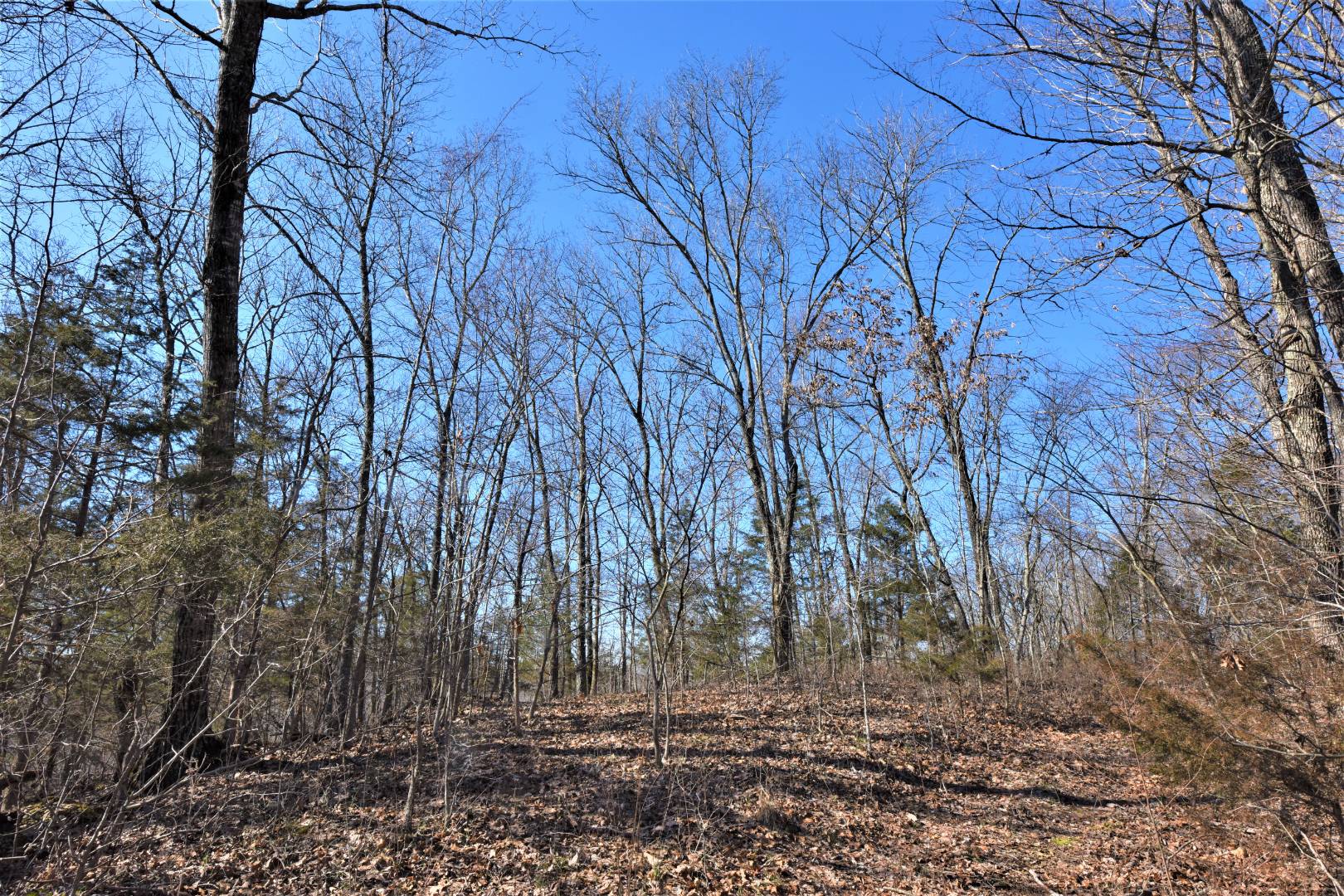 750 Scott Ridge Road, Edmonton, KY 42129 (Off Market NYStateMLS Listing