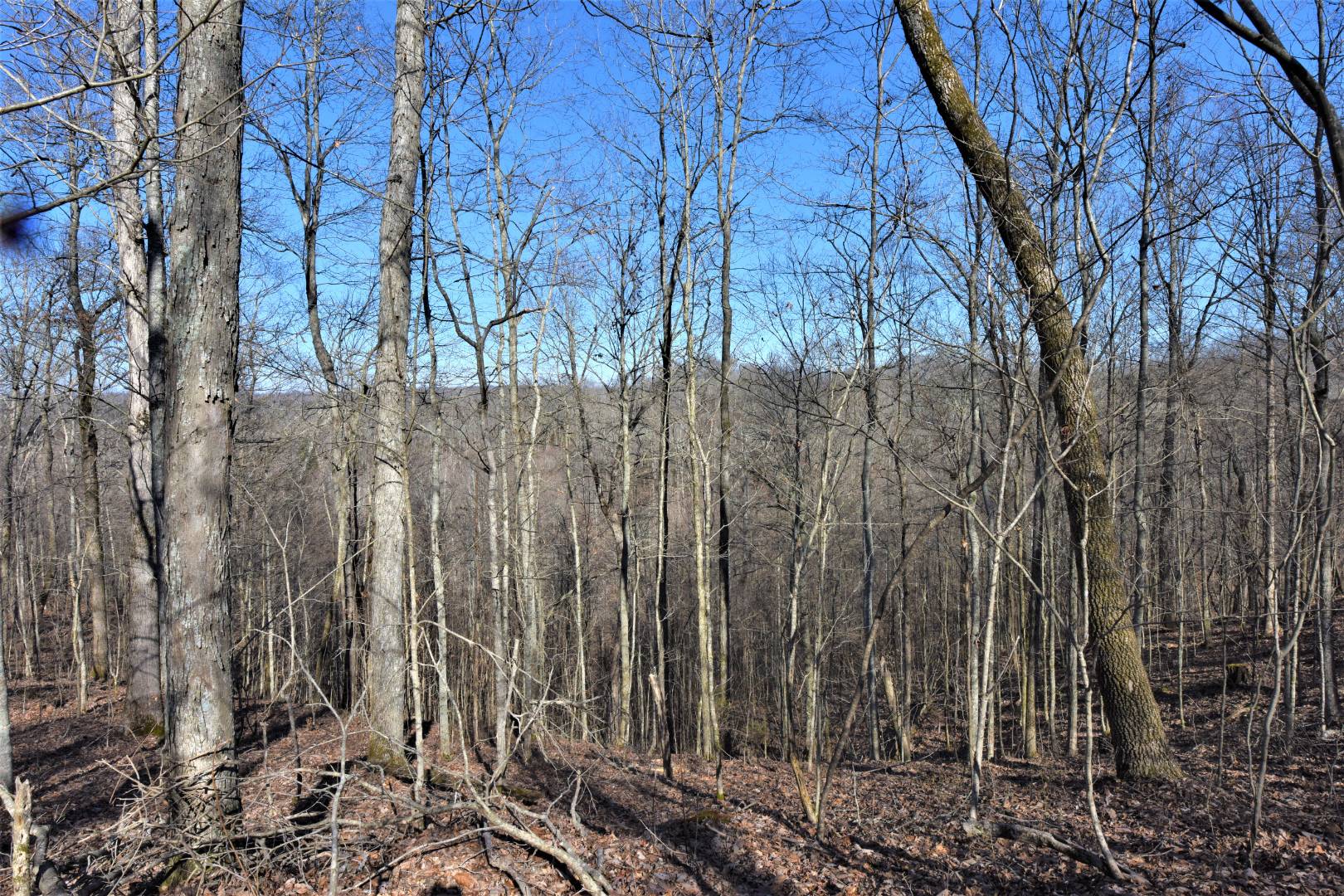 750 Scott Ridge Road, Edmonton, KY 42129 (Off Market NYStateMLS Listing