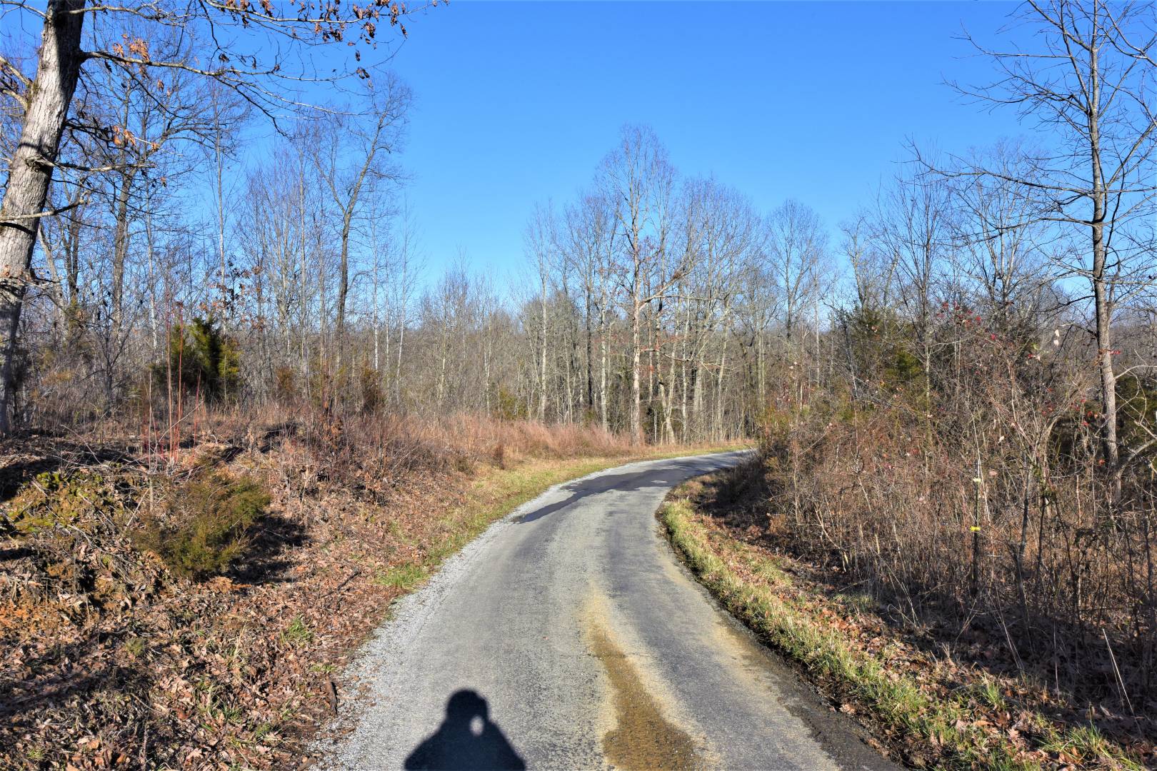 250 Scott Ridge Road, Edmonton, KY 42129 (Off Market NYStateMLS Listing