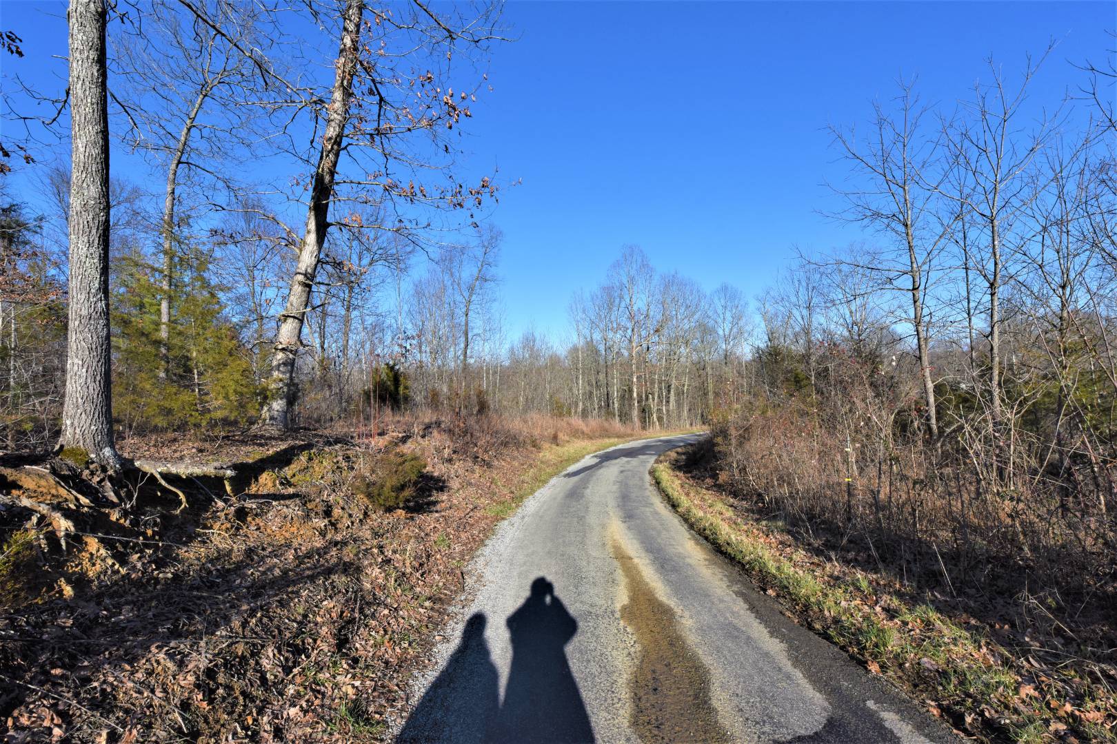 250 Scott Ridge Road, Edmonton, KY 42129 (Off Market NYStateMLS Listing