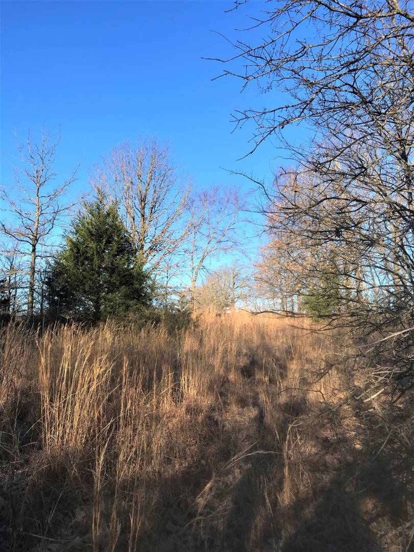 12200 E Grassy Creek Road, Coleman, OK 73432 (Sold NYStateMLS Listing