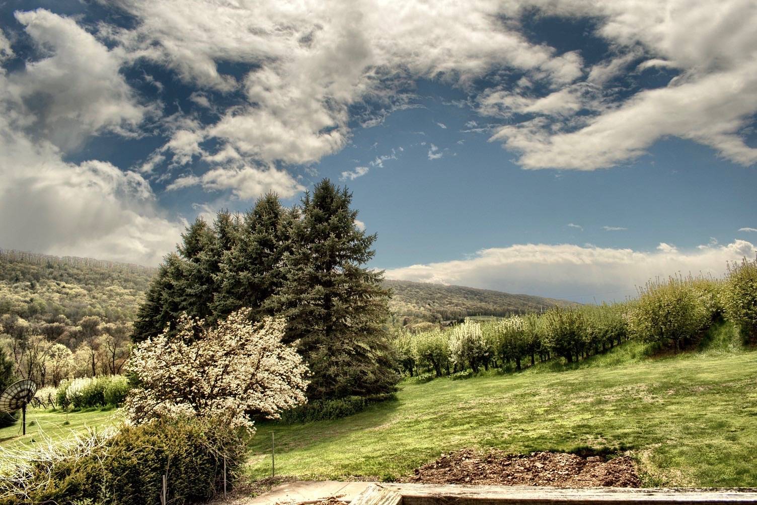 415 Irish Valley Road, Paxinos, PA 17860 (Sold MyStateMLS Listing