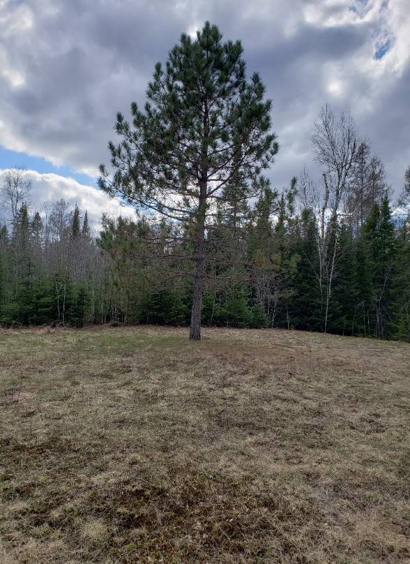0000 Little Pike Lake Road, Mercer, WI 54547 (Sold NYStateMLS Listing 10888450)