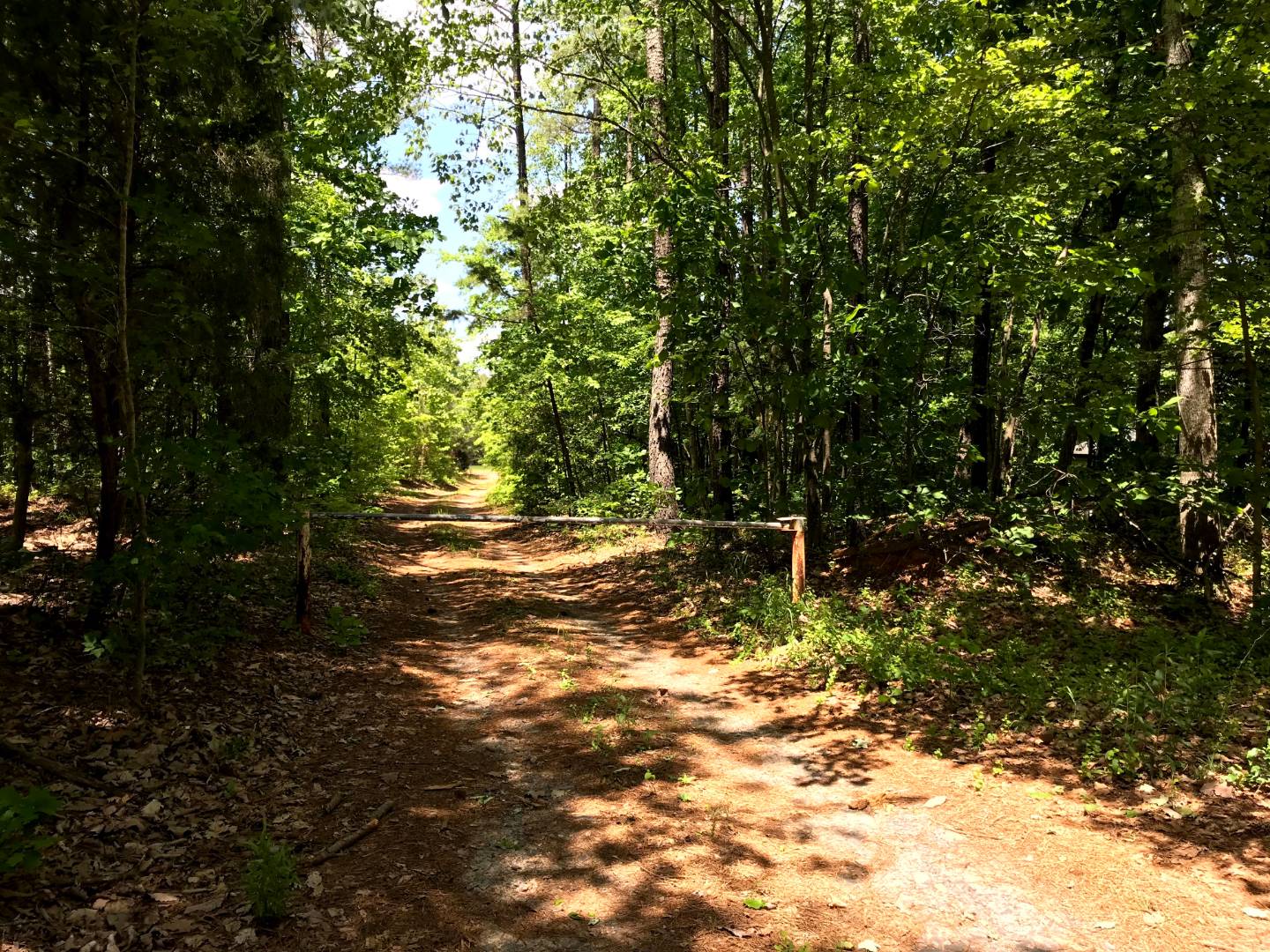 Moore Timberlands North Tract Buckingham County VA, Dillwyn, VA