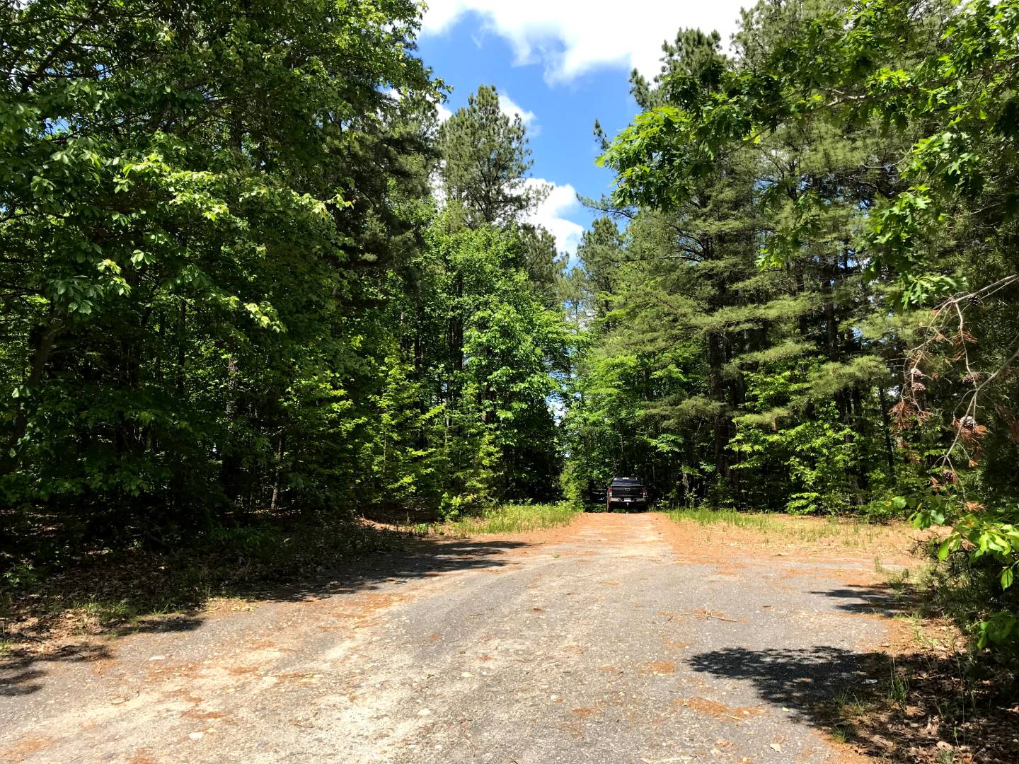 Moore Timberlands North Tract Buckingham County VA, Dillwyn, VA