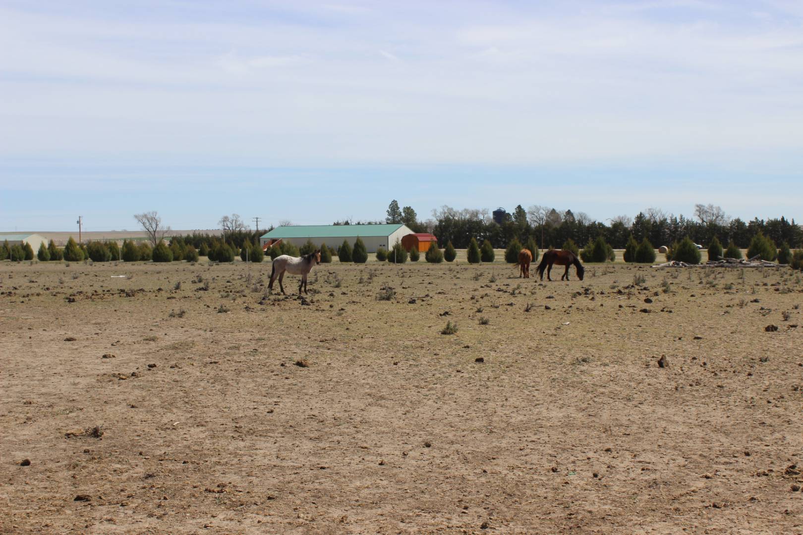 73376 Hwy 6, Enders, NE 69027 (Sold MyStateMLS Listing 10885585)