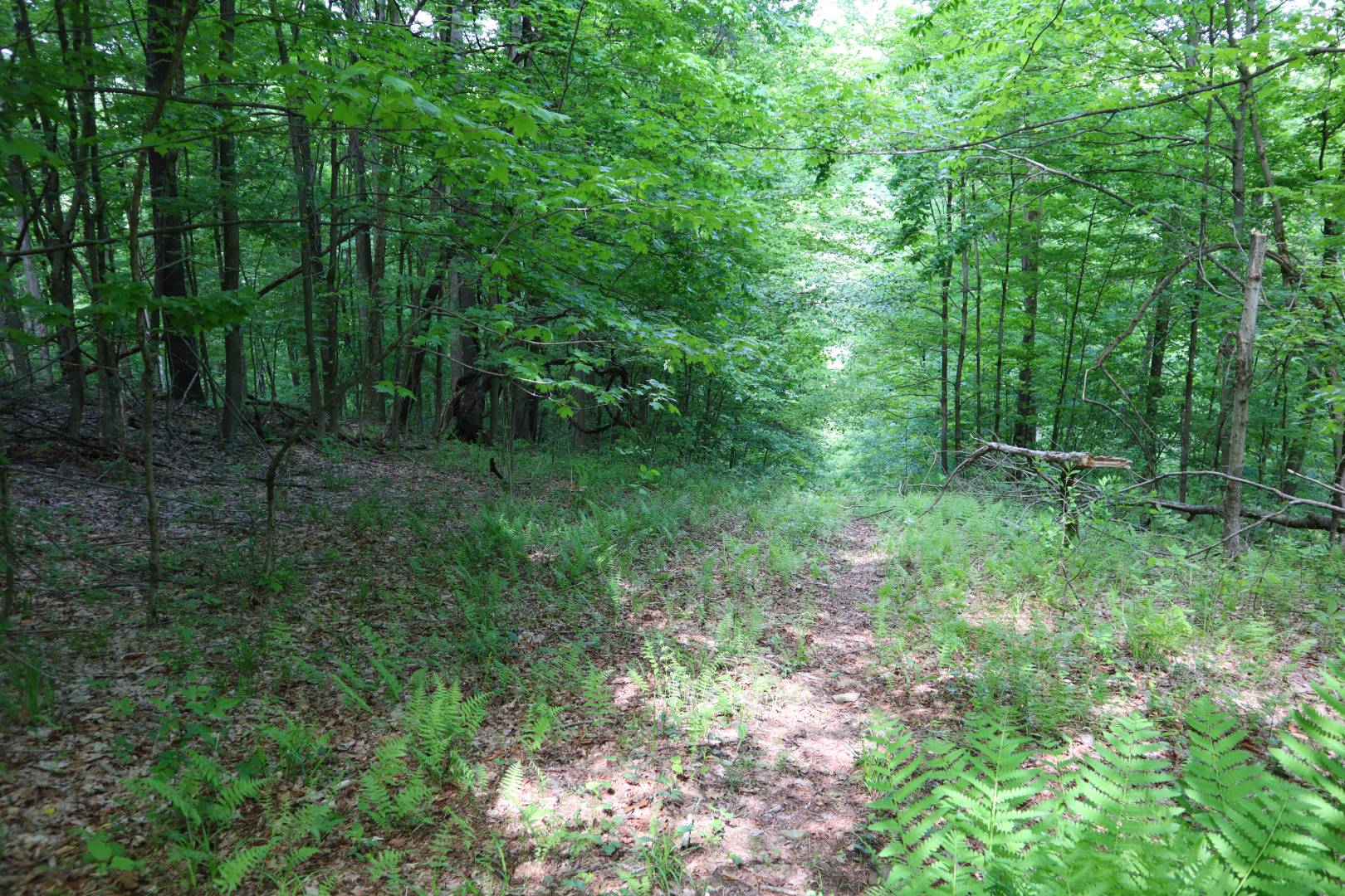 1637 Pork Rd, Clymer, NY 14724 (Sold NYStateMLS Listing 10892943)