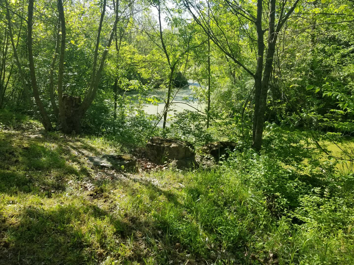 835 Jefferson Furnace Rd, Oak Hill, OH 45656 (Sold MyStateMLS Listing