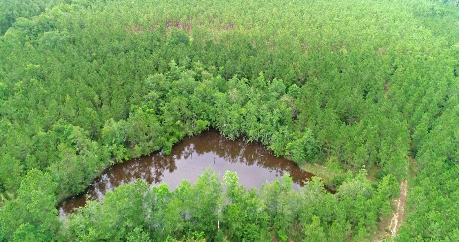 1275 Harmony, Ashburn, GA 31714 (Sold NYStateMLS Listing 10898465)