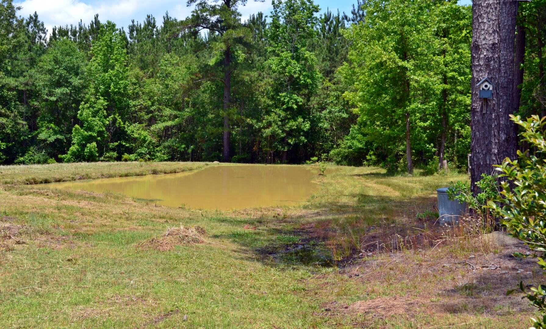 2145 Elizabeth Academy Road, Ruby, SC 29741 (Sold NYStateMLS Listing