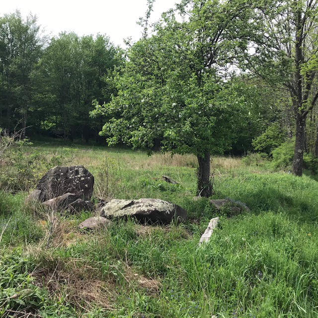 0 Rose Hill, Lake Como, PA 18437 (Off Market NYStateMLS Listing 10896595)