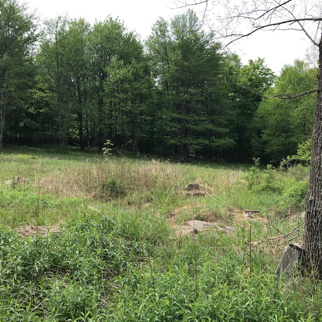 0 Rose Hill, Lake Como, PA 18437 (Off Market NYStateMLS Listing 10896595)