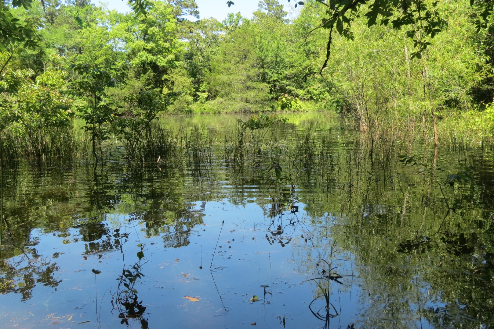 Cloudy Road, Rattan, OK 74562 (Off Market MyStateMLS Listing 10900405)