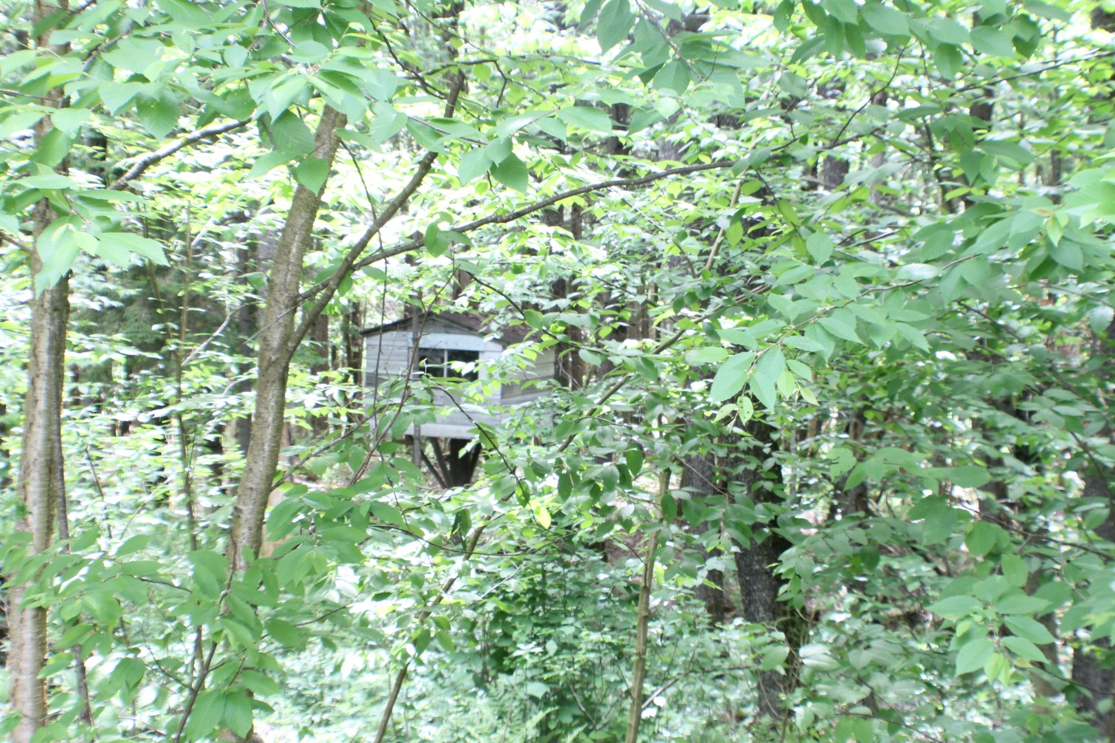 141 Tamarack Rd, Lake Pleasant, NY 12108 (Sold NYStateMLS Listing 10900110)