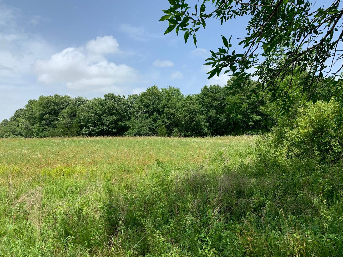 329th St, Melvern, KS 66510 (Sold MyStateMLS Listing 10913336)